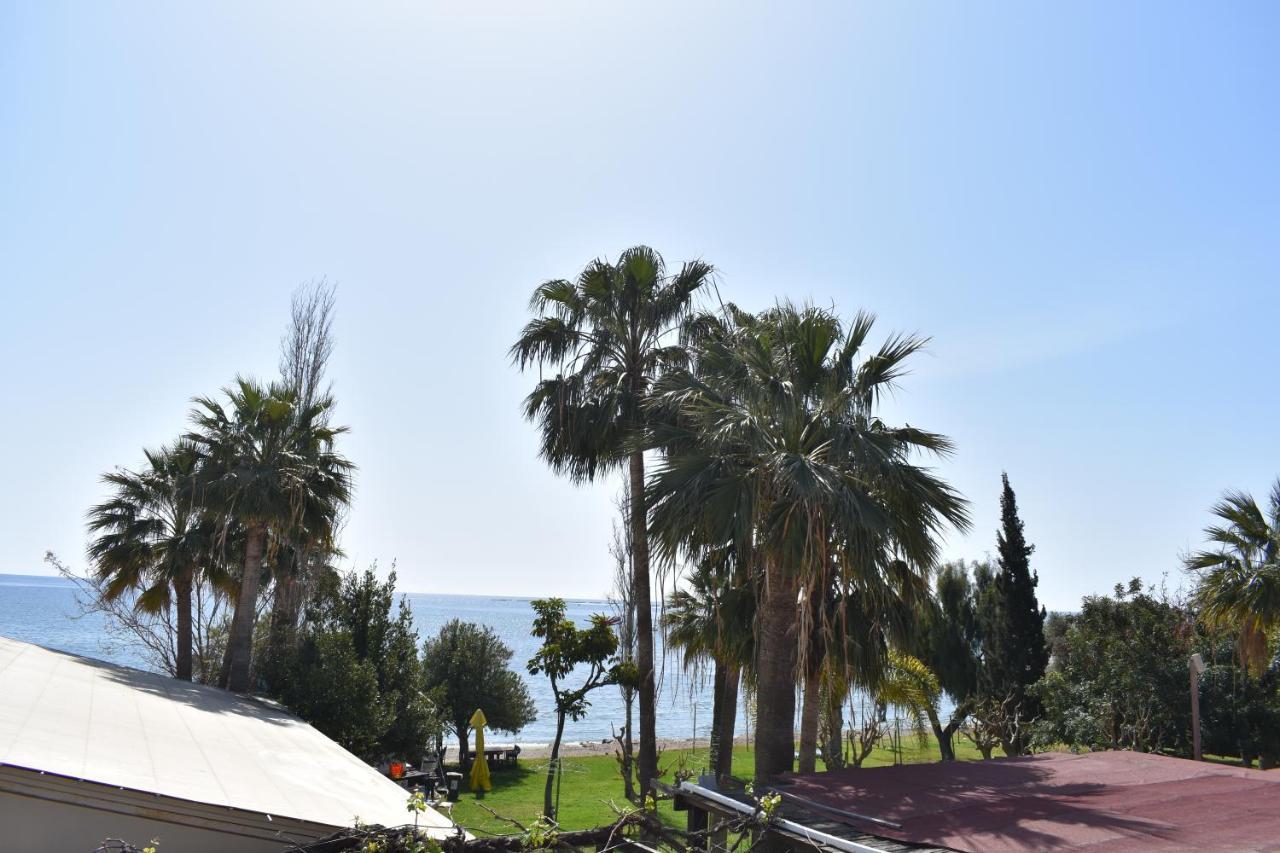 Andreas & Melanie Beach Hotel Playa del Gobernador Exterior foto